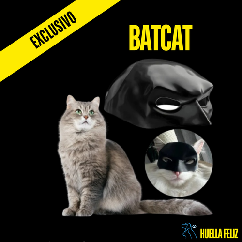 BatCat : Mascara para gatos