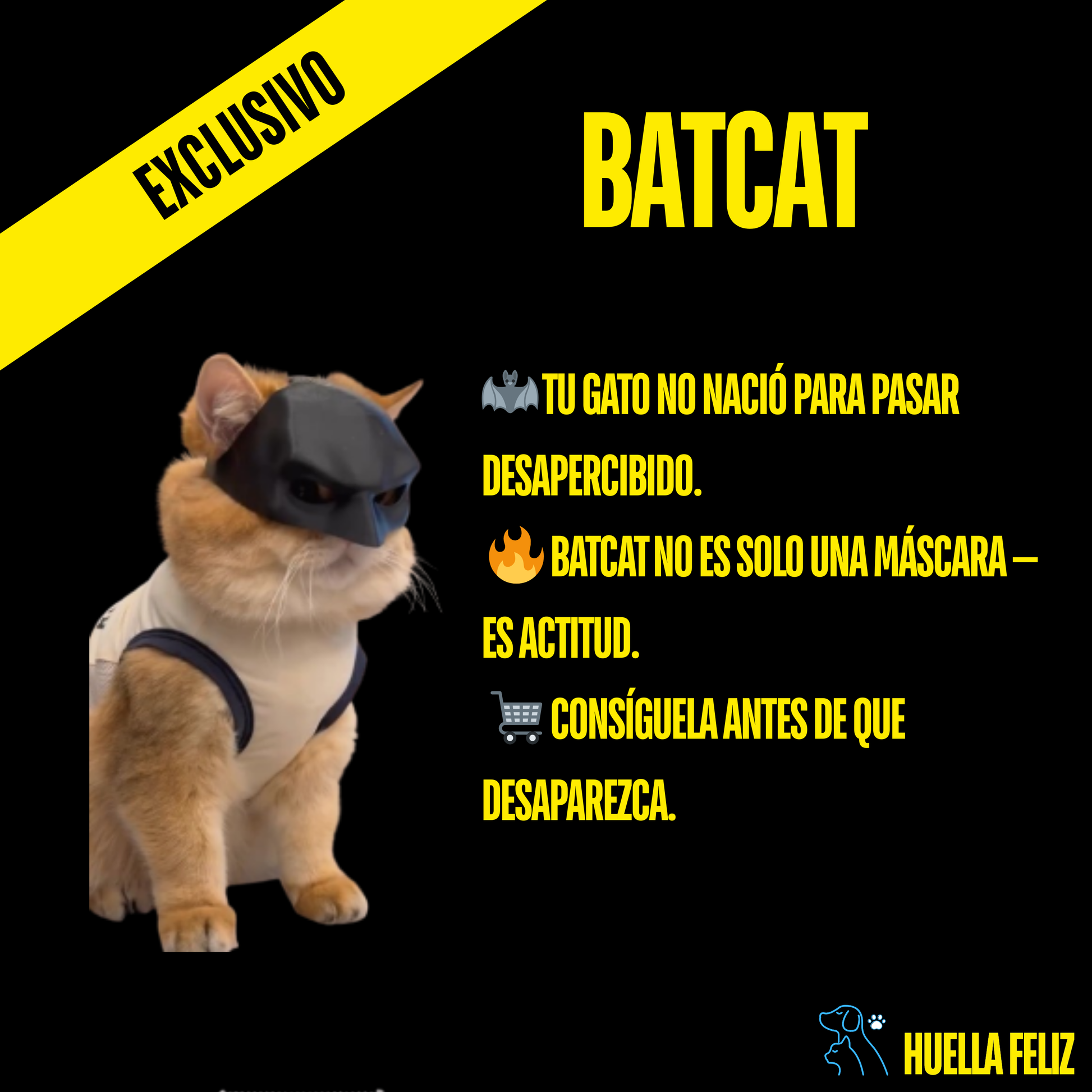 BatCat : Mascara para gatos
